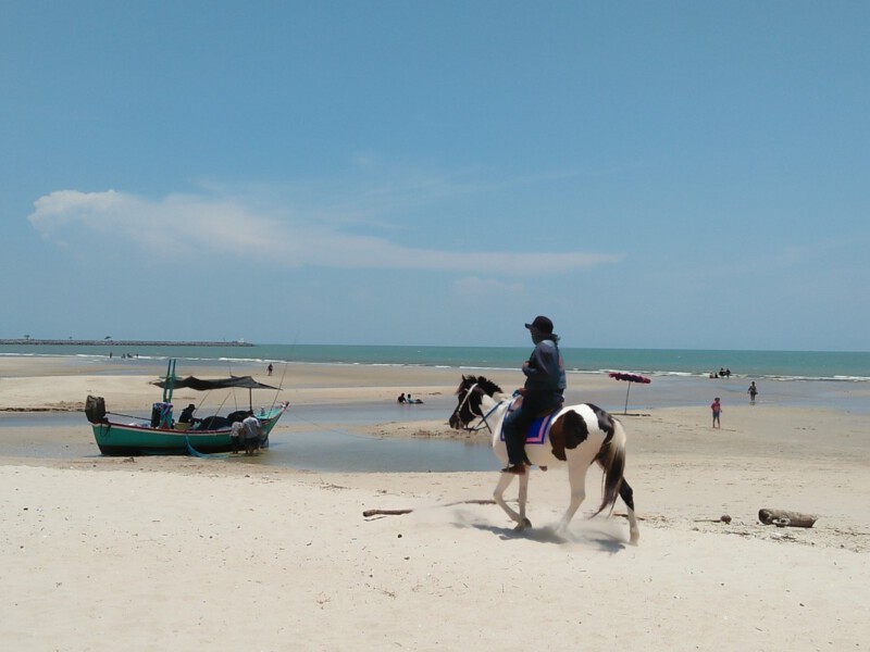 easytravel-van.com-บริการ-เช่า-เหมา-รถตู้-Vip-10-ที่นั่ง-และ-13-ที่นั่ง-ด้วยรถคุณภาพ-การทำความสะอาด-2-3