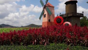 easytravel van.com บริการ เช่า เหมา รถตู้ Vip 10 ที่นั่ง และ 13 ที่นั่ง ด้วยรถคุณภาพ การทำความสะอาด 47